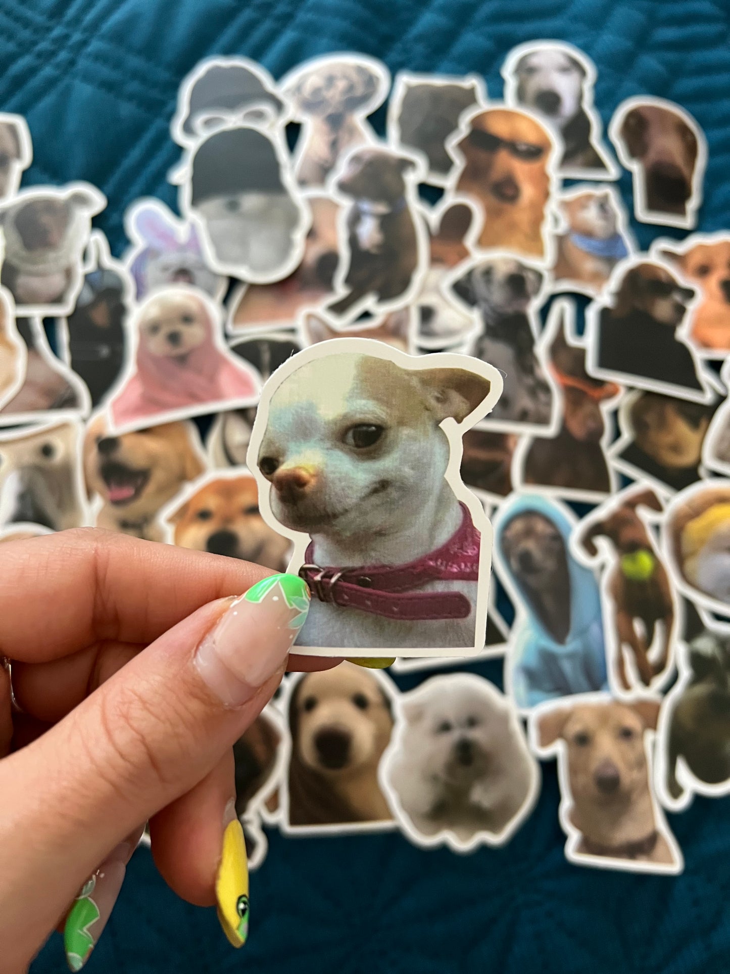 Dog Meme Funny Stickers Mystery Pack