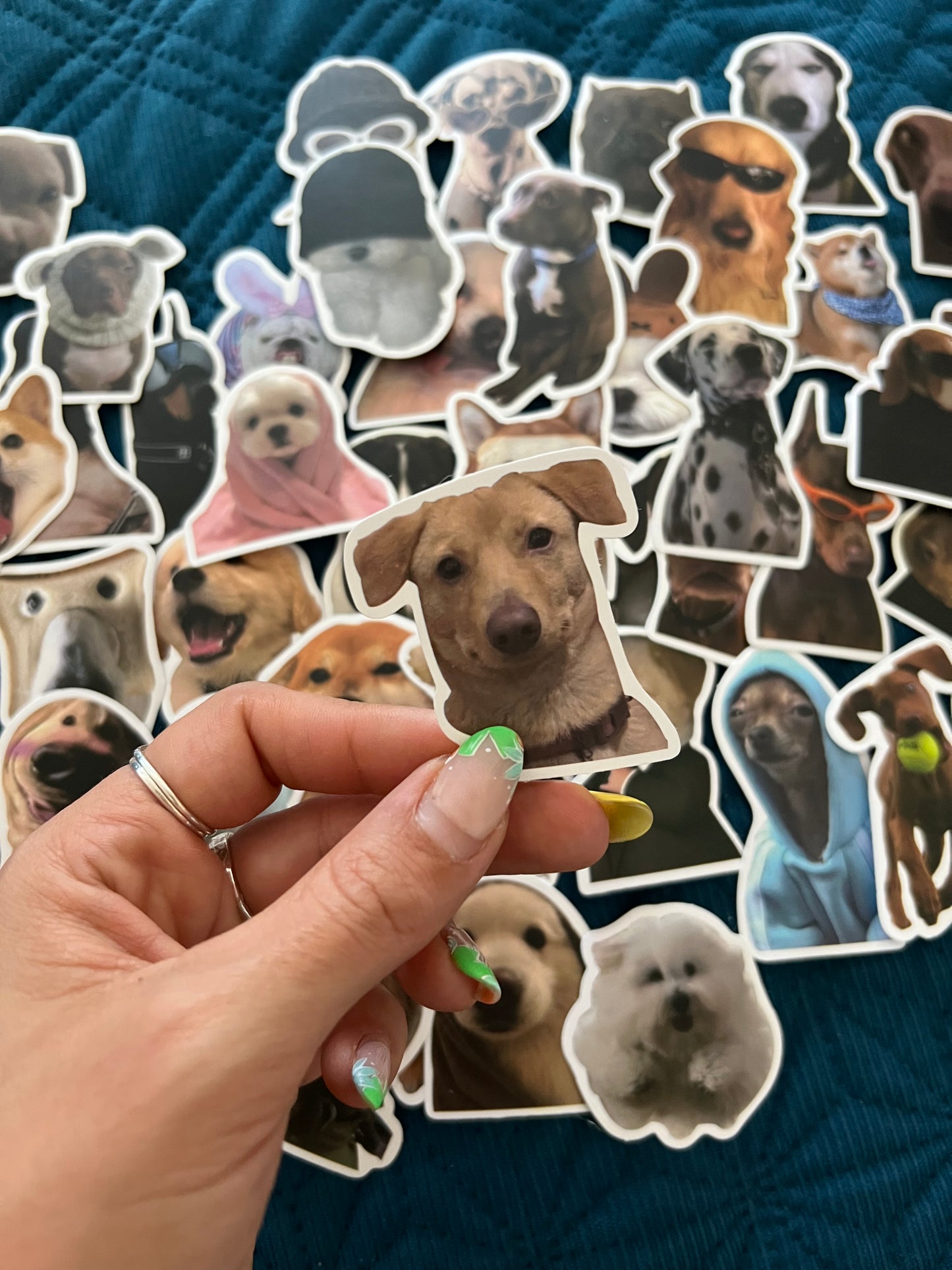 Dog Meme Funny Stickers Mystery Pack