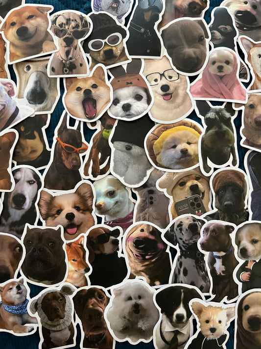 Dog Meme Funny Stickers Mystery Pack