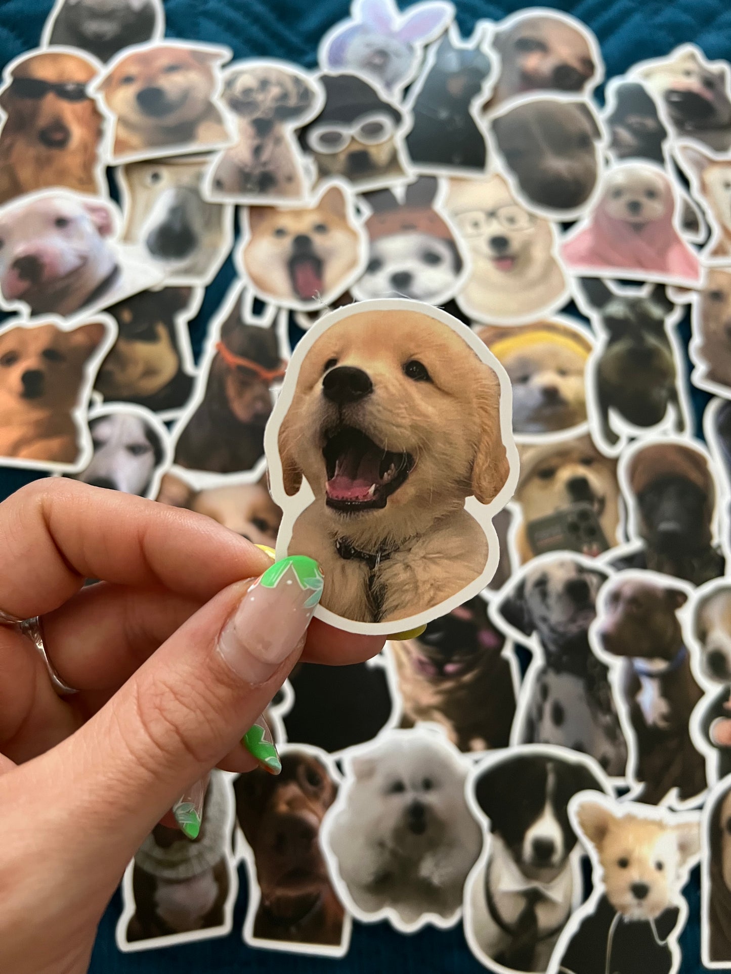 Dog Meme Funny Stickers Mystery Pack