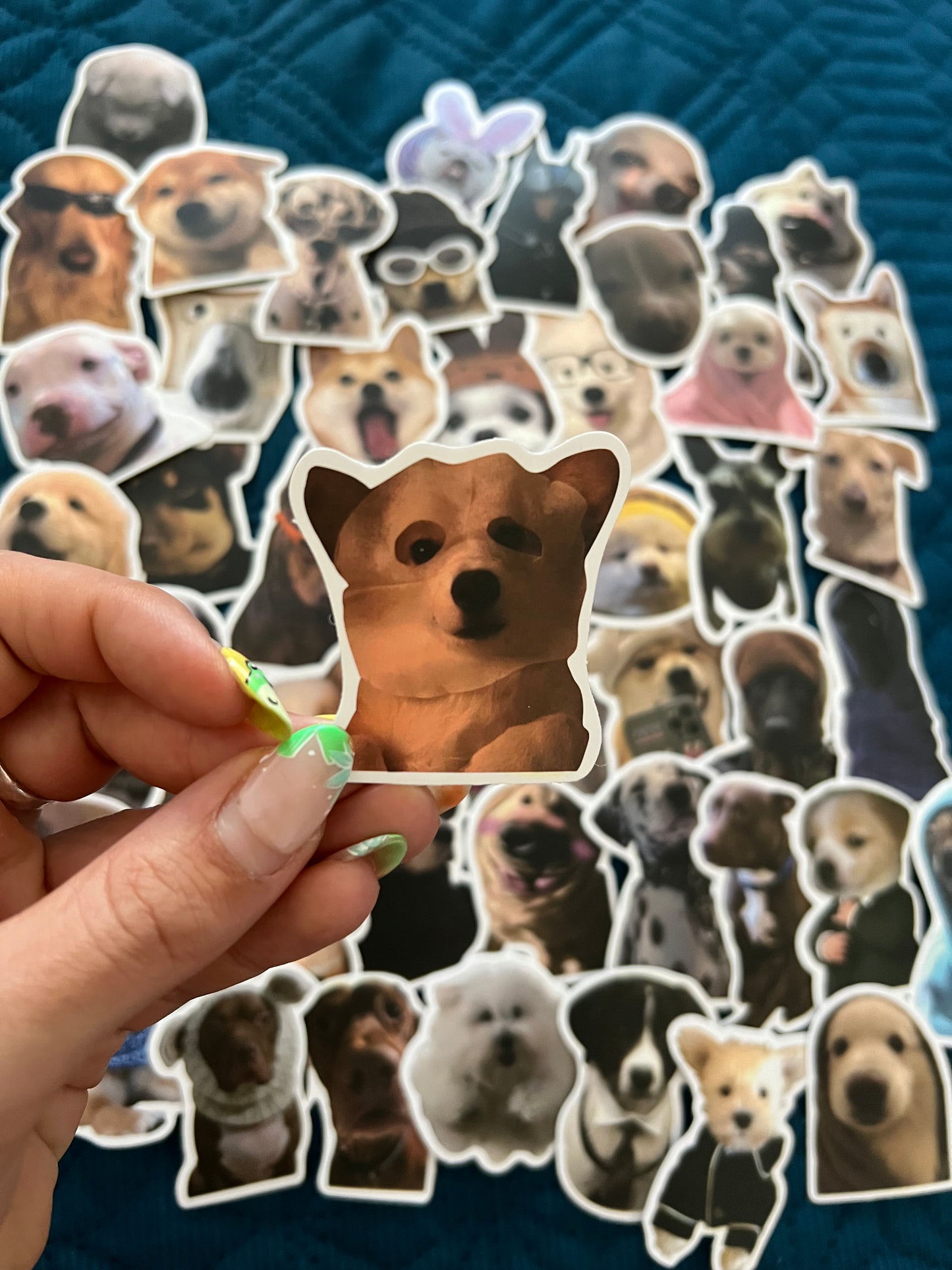 Dog Meme Funny Stickers Mystery Pack