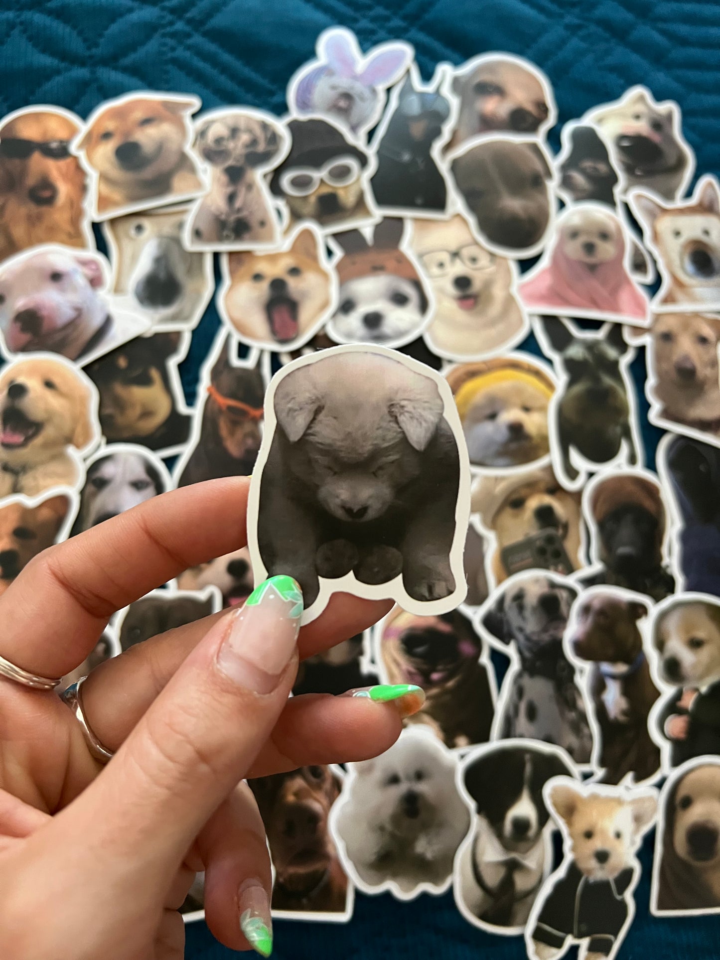 Dog Meme Funny Stickers Mystery Pack