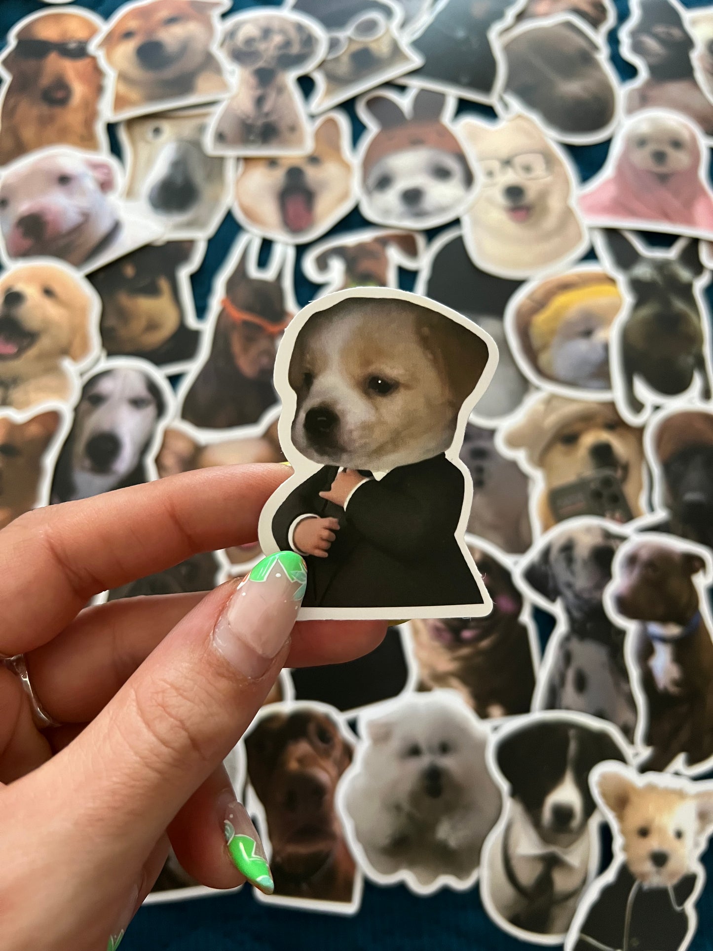 Dog Meme Funny Stickers Mystery Pack