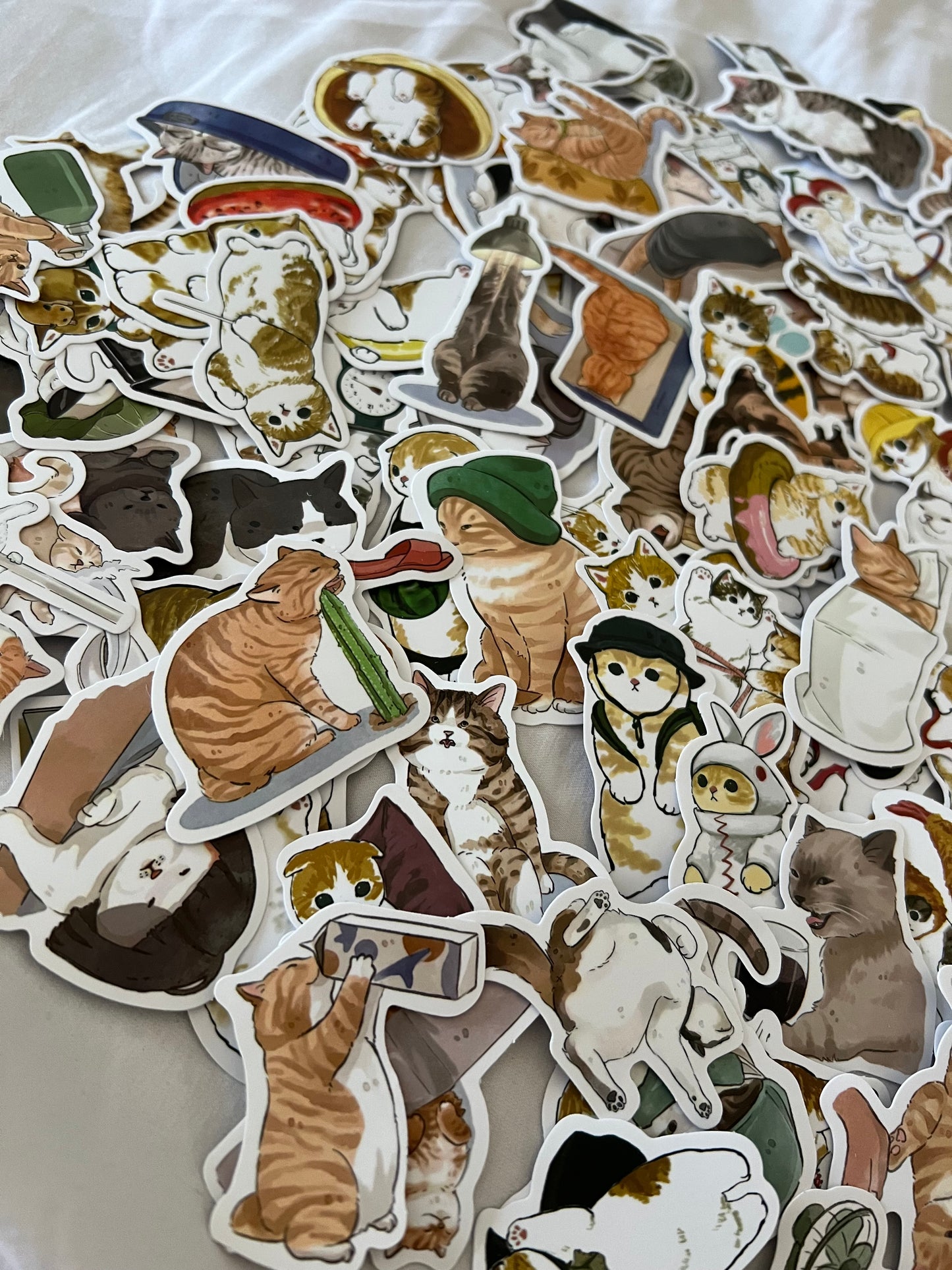 Cat Lover Cute and Funny Stickers Mystery Pack